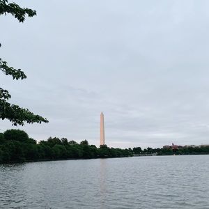 Meet your Posher, Ann